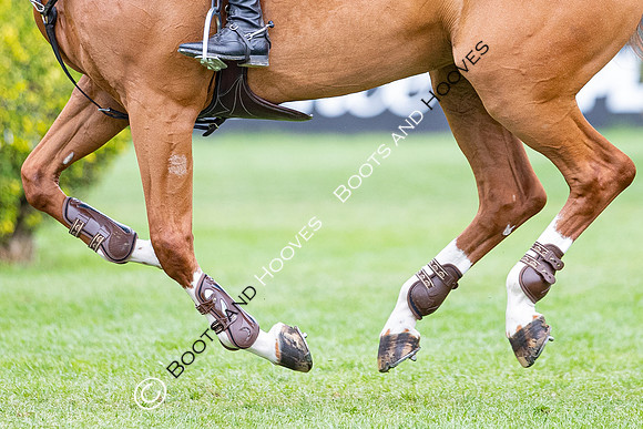 The Prenetics Royal International Horse Show