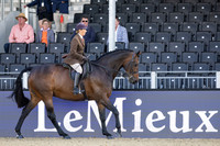 Royal Windsor Horse Show