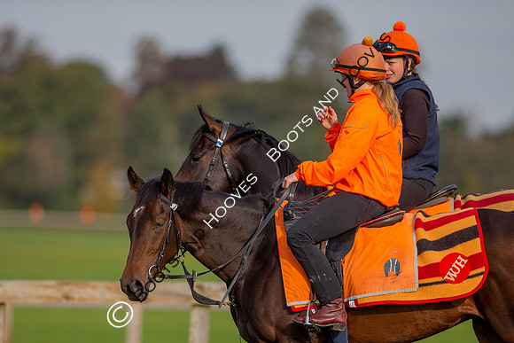 Newmarket