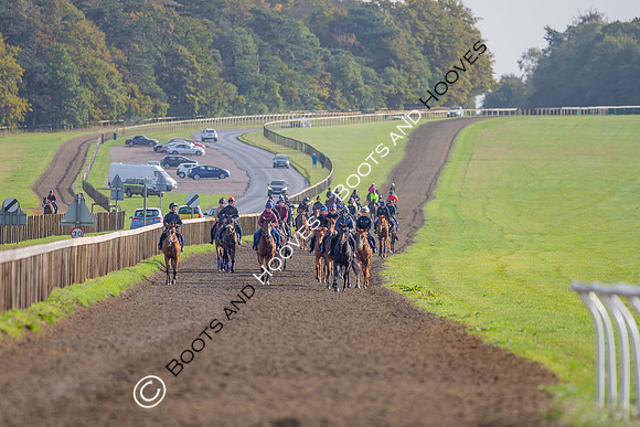 Newmarket