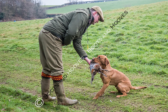 Dines Hall Game Shoot. 23/01/2019 ~ MANDATORY Credit Nick Gunn/Bootsandhooves - NO UNAUTHORISED USE - 07745 909676