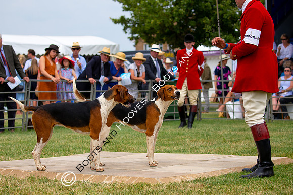 Festival of Hunting