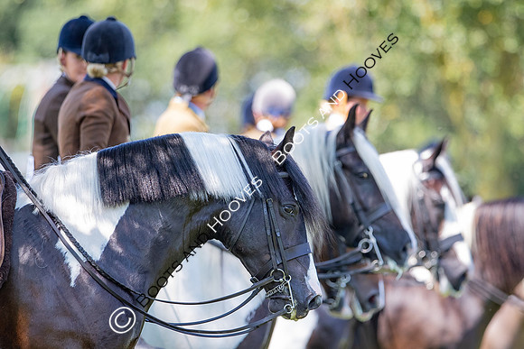 The Prenetics Royal International Horse Show