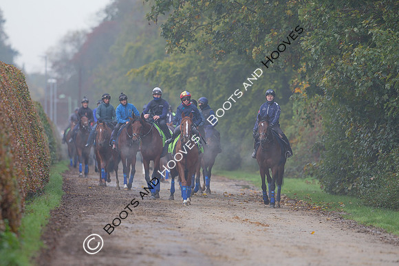 Newmarket