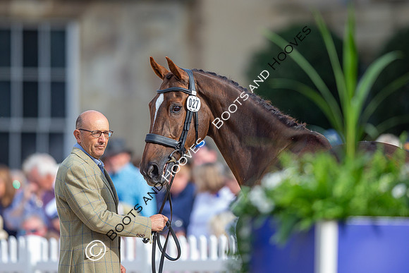 Badminton Horse Trials