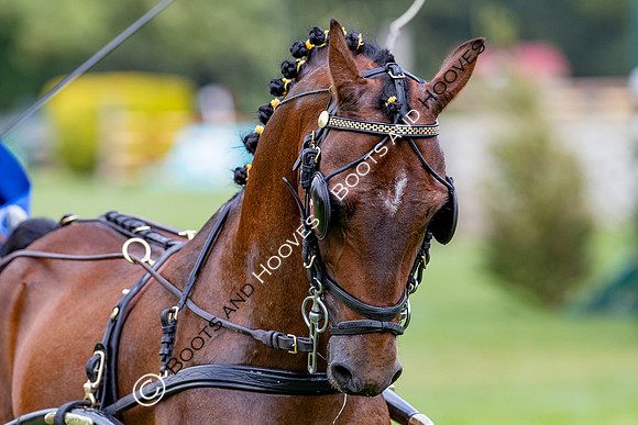 The Prenetics Royal International Horse Show