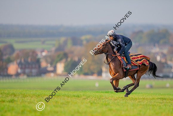 Newmarket