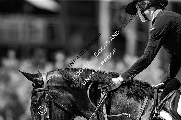 FEI Junior European Championship Young Riders, Juniors & Childre
