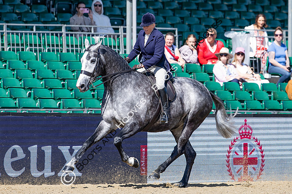 Royal Windsor Horse Show