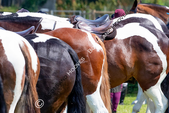 The Prenetics Royal International Horse Show