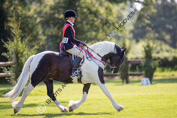 The Prenetics Royal International Horse Show
