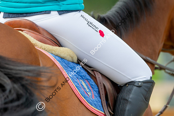 Science Supplements All England Jumping Championships