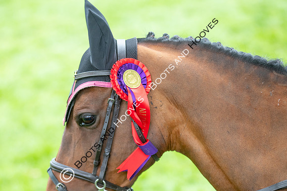 Science Supplements All England Jumping Championships