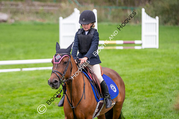Science Supplements All England Jumping Championships