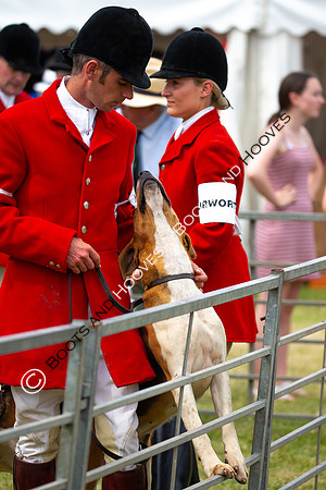 Festival of Hunting