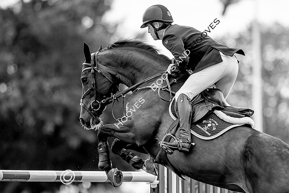 Science Supplements All England Jumping Championships