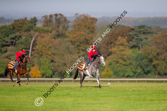 Newmarket