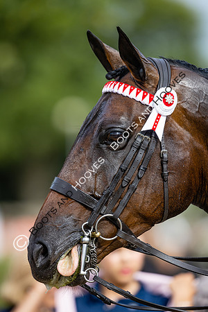 The Royal International Horse Show