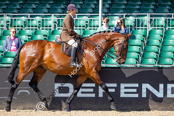 Royal Windsor Horse Show