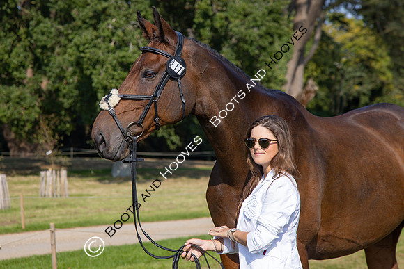 Blenheim Palace International Horse Trials