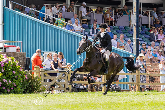 The Agria Royal International Horse Show