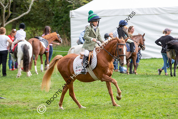 Science Supplements All England Jumping Championships
