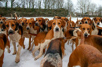Hound Exercise
