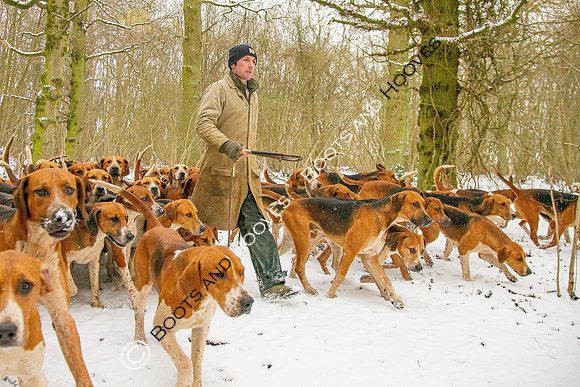 Hound Exercise