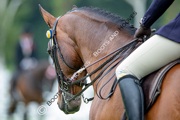 The Prenetics Royal International Horse Show