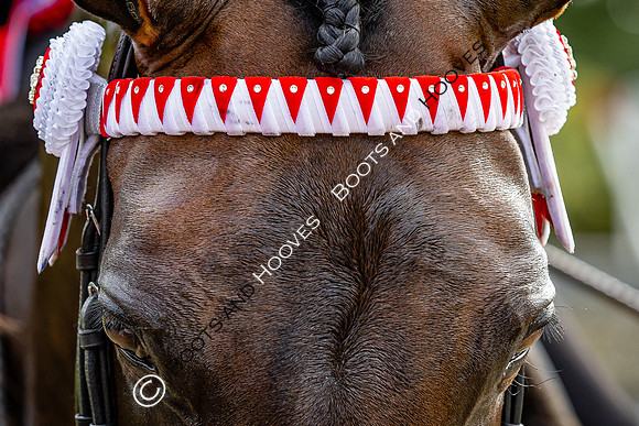 The Royal International Horse Show