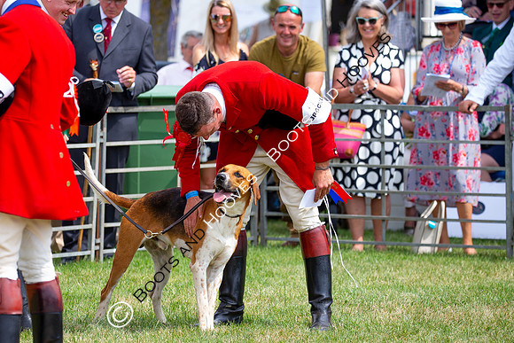 Festival of Hunting