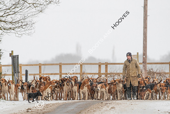 Hound Exercise