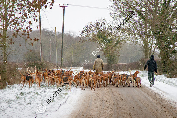 Hound Exercise