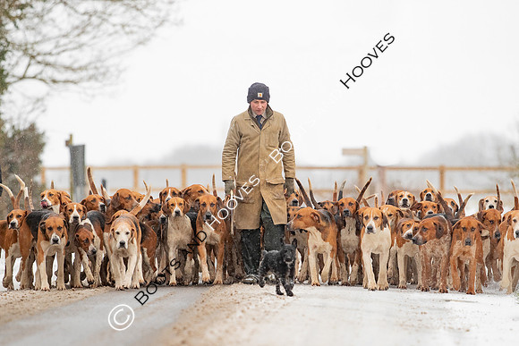 Hound Exercise