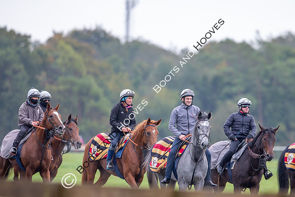 Newmarket