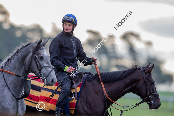 Newmarket