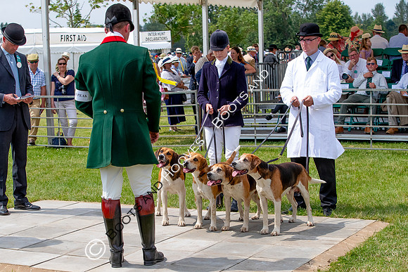Festival of Hunting