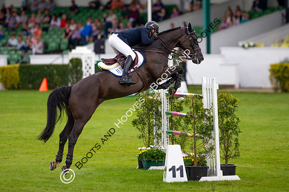 Great Yorkshire Show