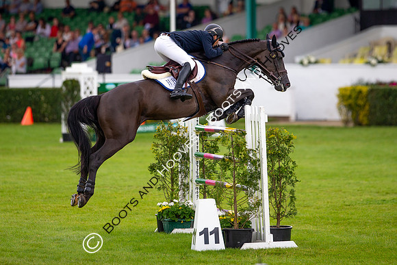 Great Yorkshire Show