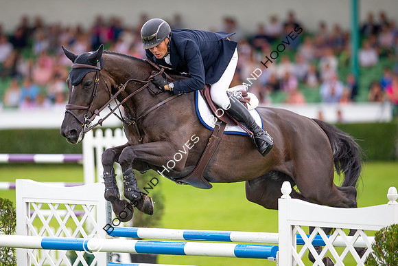 Great Yorkshire Show