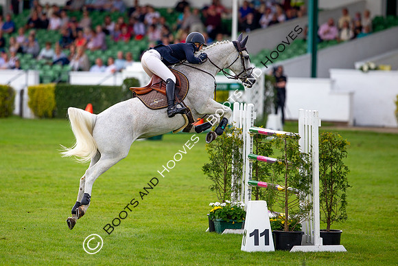 Great Yorkshire Show