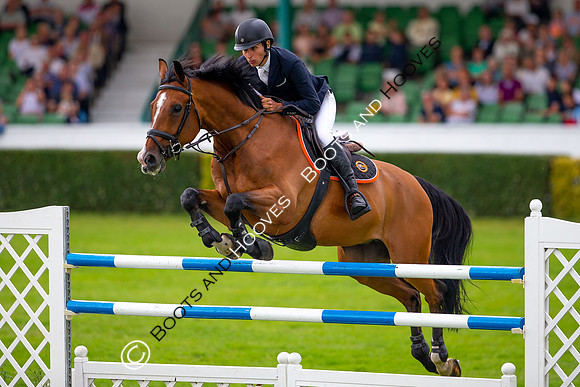 Great Yorkshire Show