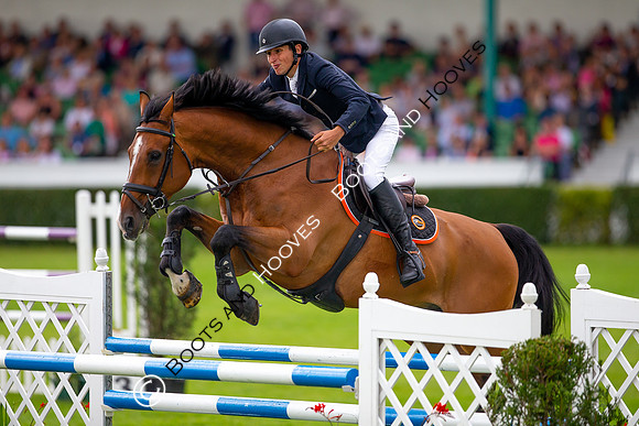 Great Yorkshire Show