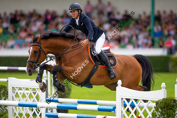 Great Yorkshire Show