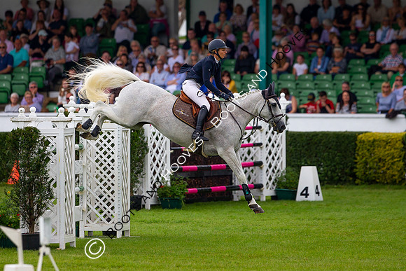 Great Yorkshire Show