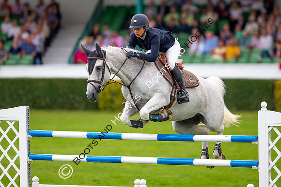 Great Yorkshire Show