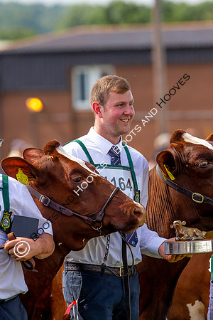 Great Yorkshire Show