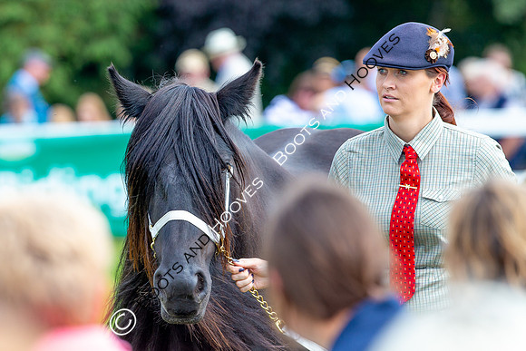 Great Yorkshire Show