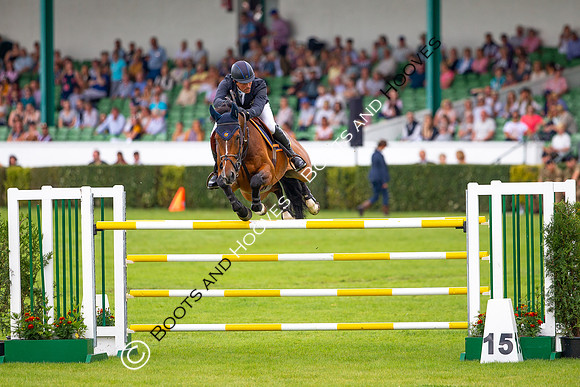 Great Yorkshire Show
