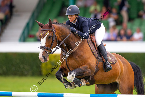 Great Yorkshire Show